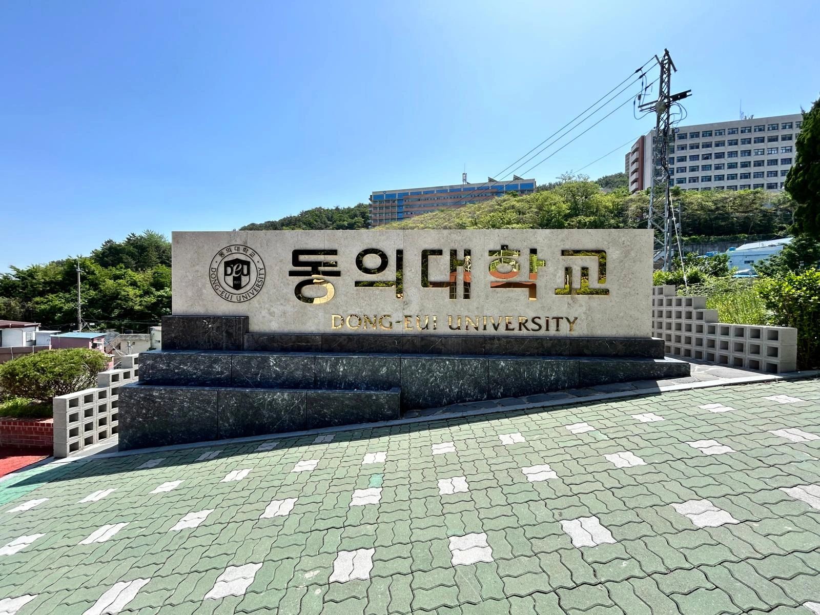 9th International XR-Metaverse Conference — photo 3